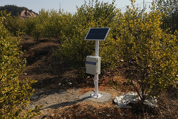 浙江衢州常山油茶大脑产业园土壤墒情监测站案例